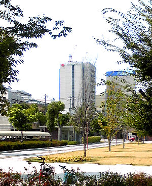 10823toshokankara2_2