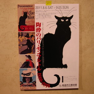 110728chatnoir2