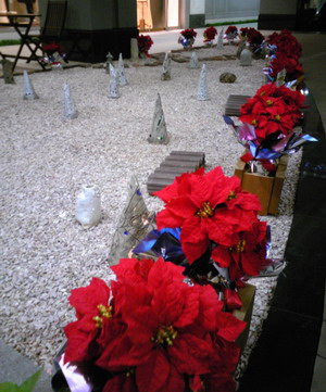 111109ineschristmas2_2