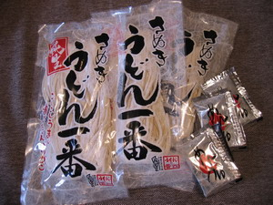 120117udon2