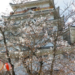120406fsakura4