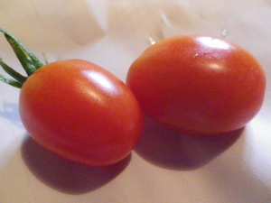 150707tomato