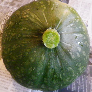 150808kabocha