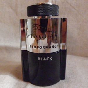 150828jaguar