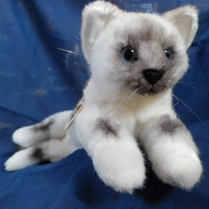 150917ksnhimarayansmall3