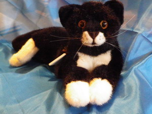 160125kskuronekosmall3