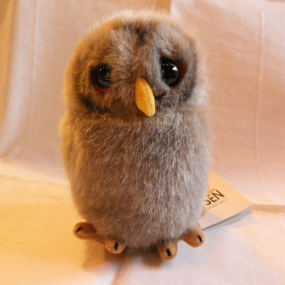 170924ksnmorifukurouko1