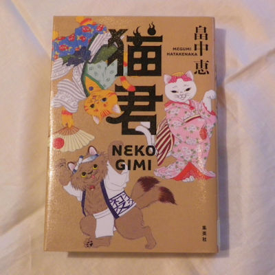 200222nekogimi