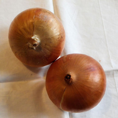 221025onion
