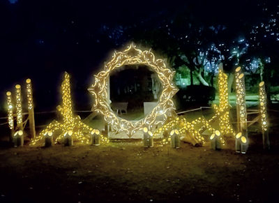 221216hikarimaturi2_2