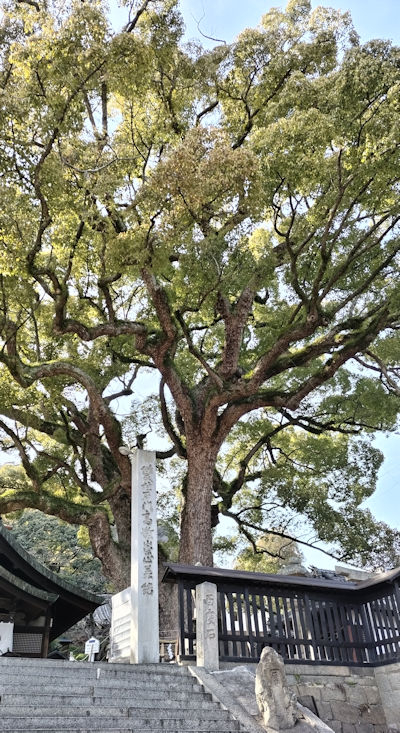 230406onomichiusitora