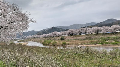 260409mitoya