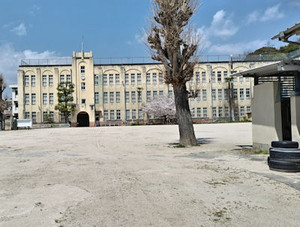 250427kubosho