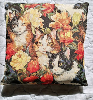 260507cushion1