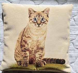 260507cushion2